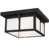 Sea Gull Lighting Two Light Outdoor Flush Mount