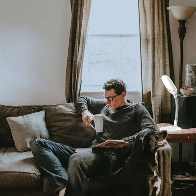 Deluxe Sun Lamp - Desk - Image 3