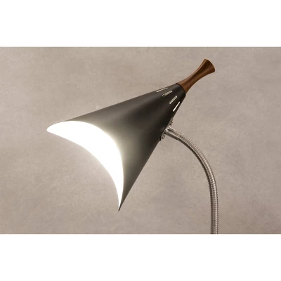 18.5" Draper Gooseneck Desk Lamp Black - Adesso